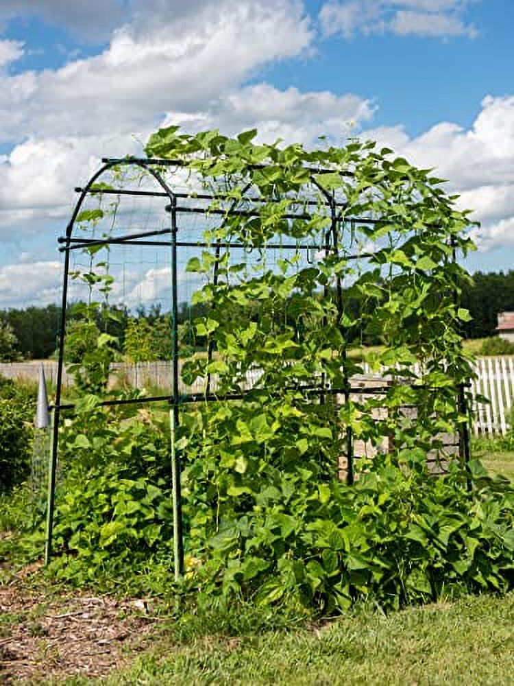 Gardener’s Supply Company Extra Tall Garden Arch Arbor 80in Titan