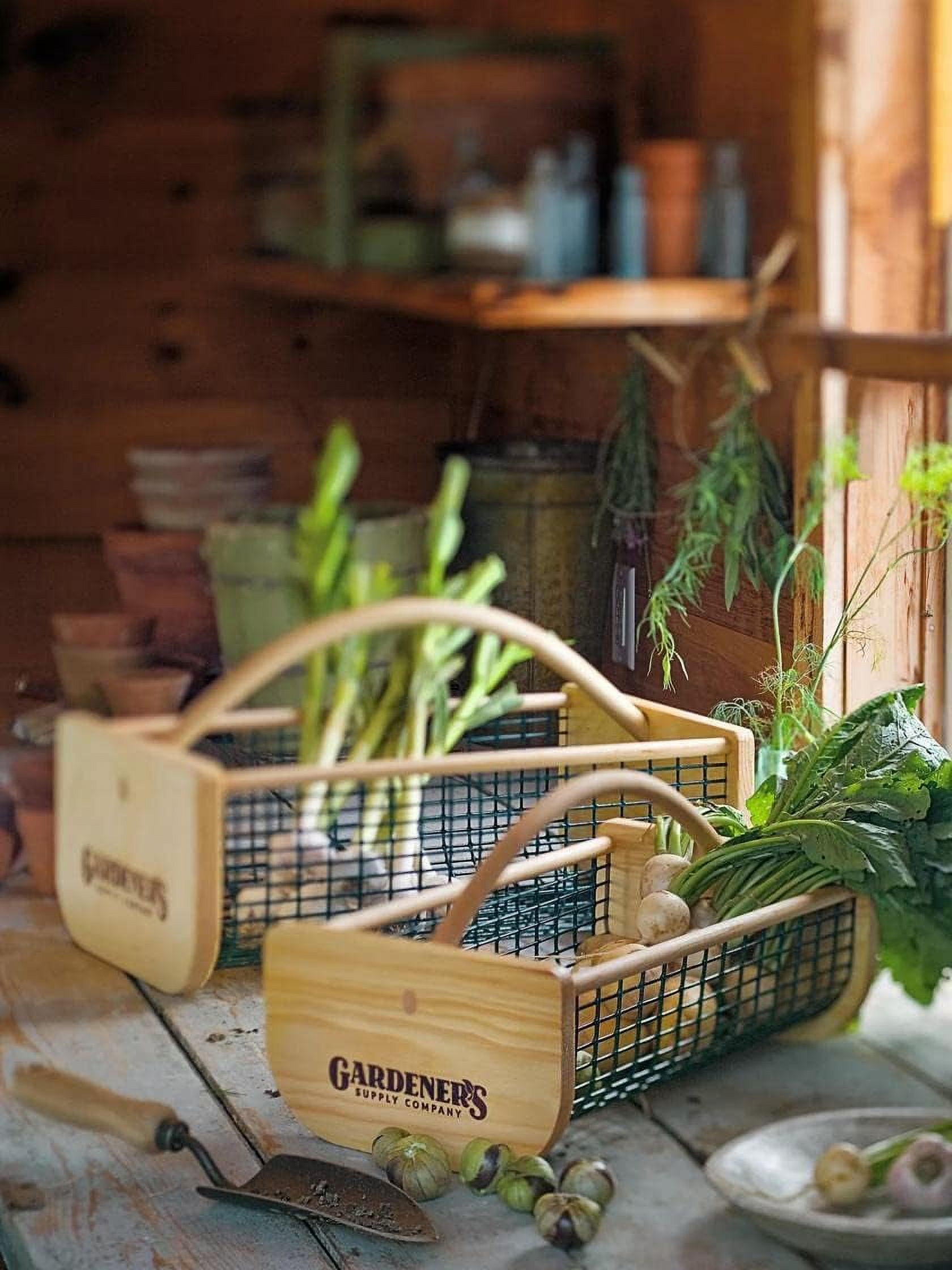 Gardener's Supply Company Garden Harvest Basket | Versatile Gardening & Vegetables Gathering Hod | Natural Smooth Pine - Maple Frame & Coated Mesh | 16"L x 9"W x 7"H - Small