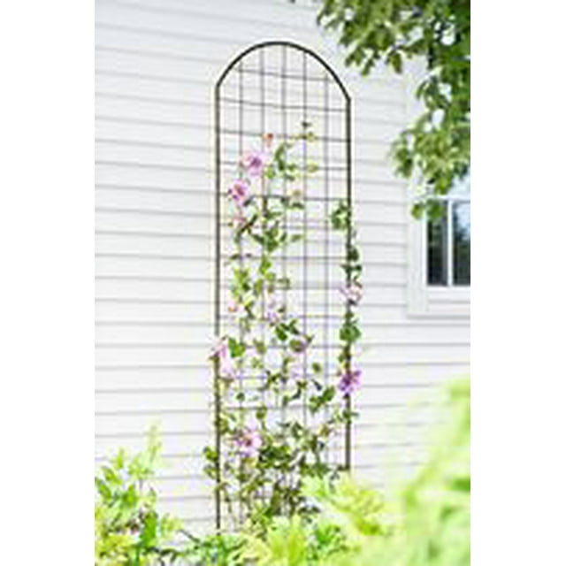 Gardener's Supply Company Jardin Flower Trellis 7 Feet Tall