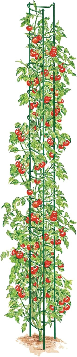 Gardener's Supply Company Stacking Tomato Ladders | Tomato Plant Supports for The Garden (Set of 6) Heavy Gauge Steel 22"-78" Tall - Green