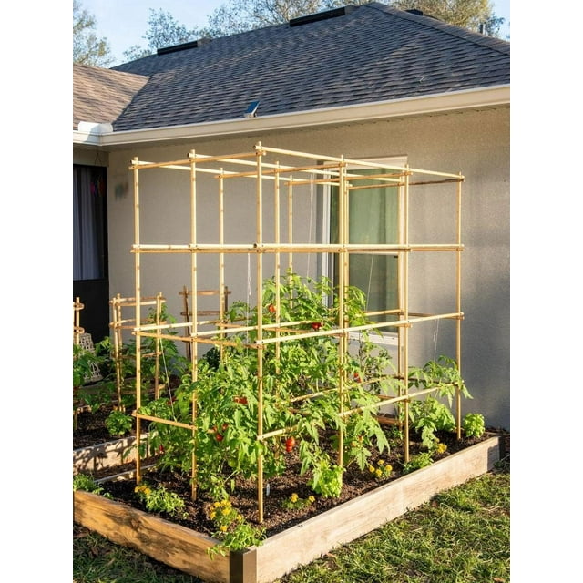 Gardener's Supply Company Tomato Six Pack Large Bamboo Structure 78