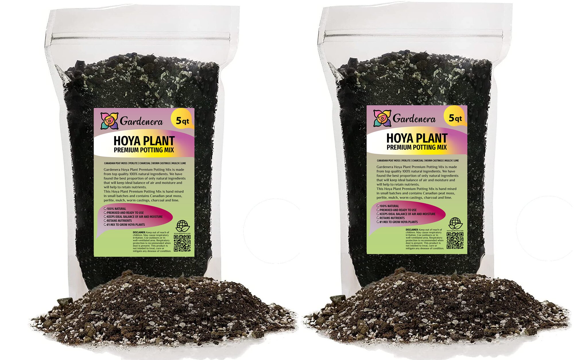 bonsai tree growing kit Bonsai Growing Kit – Complete Set with Seeds, Pots & Tools (4 Varieties) main image 1