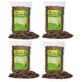thumbnail image 1 of Gardenera Labs Cilantro Plant Potting Mix - Unlock Rich Growth and Flavorful Leaves with Our High-Performance Formula - 20 Quart, 1 of 4