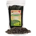 thumbnail image 1 of Gardenera Labs Gardenera Labs Aglaonema Plant Potting Soil - Enhance Foliage Beauty and Health with Professional Grade Nutrient-Rich Mix - 3 Quart, MAIN-AGLAONEMA-3QT, 1 of 6