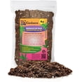 thumbnail image 1 of Gardenera Labs Madagascar Palm Potting Mix - Promote Strong Roots and Captivating Form with Our Premium Blend - 4 Quart, 1 of 4
