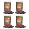 thumbnail image 1 of Gardenera Labs Madagascar Palm Potting Mix - Unlock Robust Growth and Striking Form with Our High-Performance Formula - 20 Quart, 1 of 4
