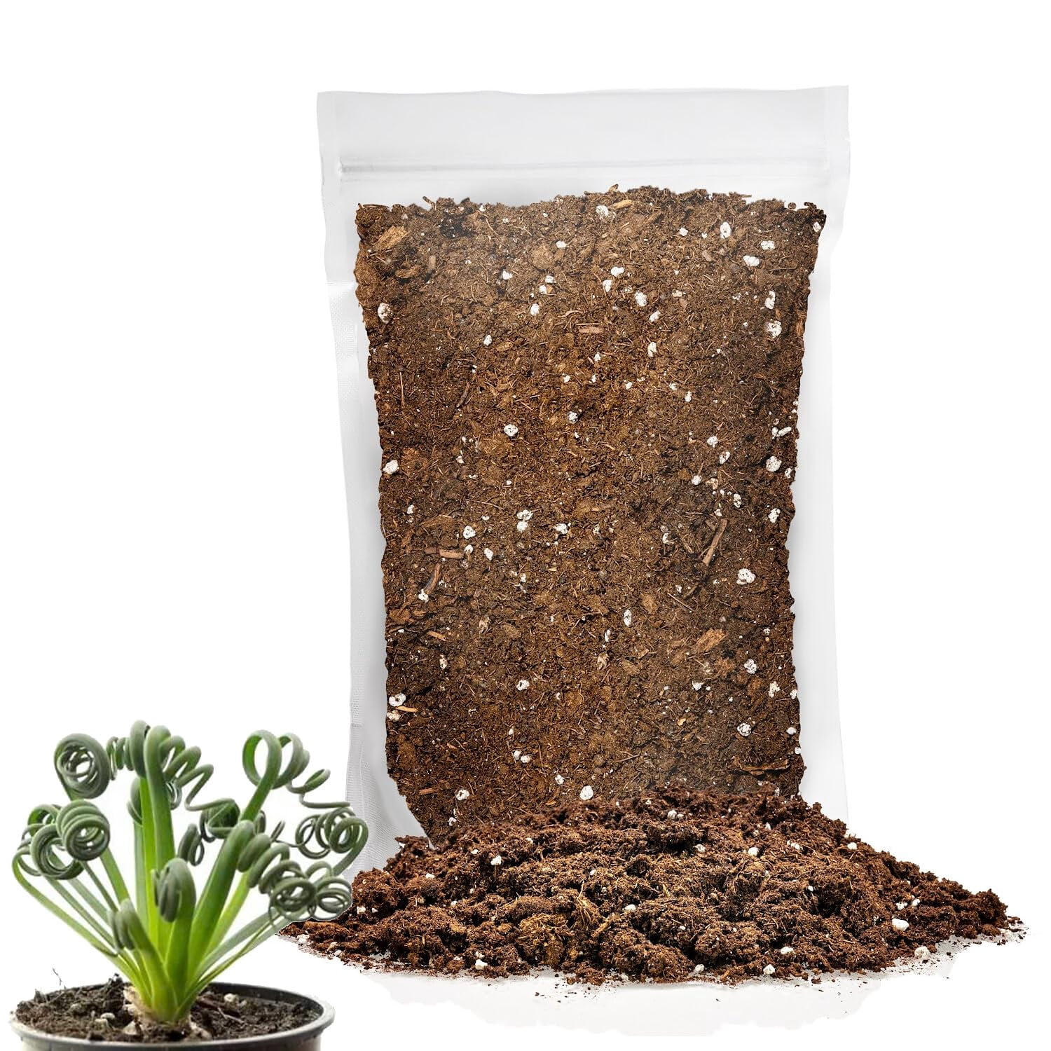 Gardenera Labs Premium Albuca Spiralis Potting Soil Mix - Perfect Balance of Nutrients, Drainage, and Aeration for Thriving Blooms - 4 Quart