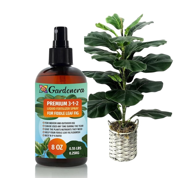 Gardenera Labs Professional FIDDLE LEAF FIG Spray Fertilizer Mist for Home Gardening | 3-1-2 Gentle Blend Mist for Healthy Leaves & Growth | Essential Nutrients for Fiddle Leaf Figs - 8oz