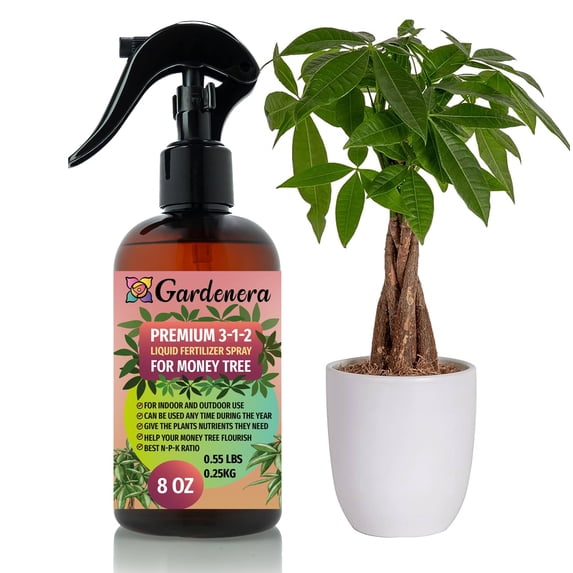 Gardenera Labs Professional MONEY TREE Spray Fertilizer Mist for Home Gardening | 3-1-2 Gentle Blend Mist for Healthy Leaves & Growth | Essential Nutrients for MONEY TREE - 8oz