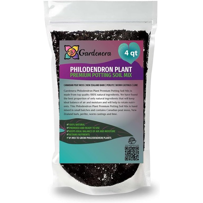 buy philodendron mayoi Philodendron mayoi  Cloud Forest Flora