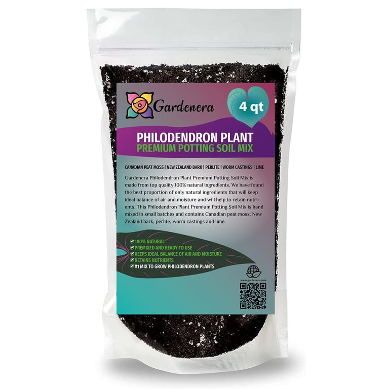 buy philodendron canada Buy Jungle Boogie Philodendron online in Canada