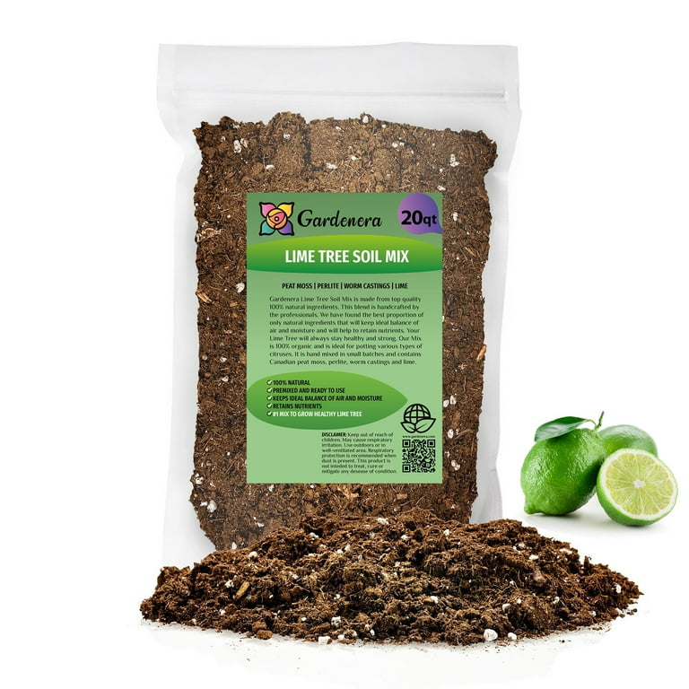 Premium Tree - Lime Premium Tree - Lime