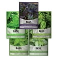 Gardeners Basics, Basil Seeds MMF7 for Planting Home Garden 5 Variety