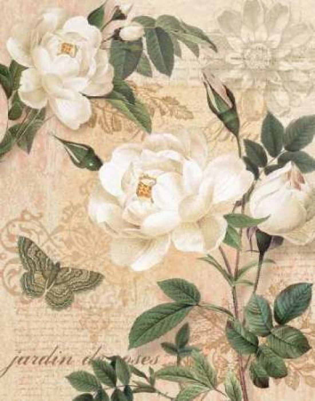 Gardeners Gift I Canvas Art - Ching Han (22 x 28)