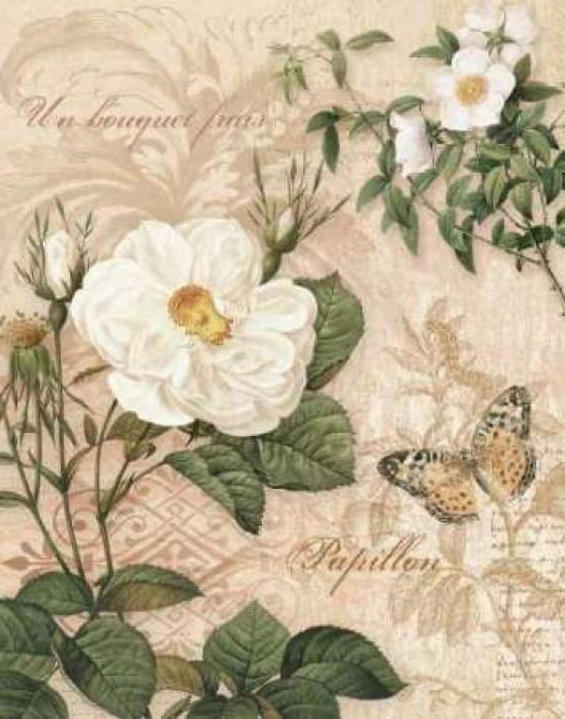 Gardeners Gift II Canvas Art - Ching Han (22 x 28)