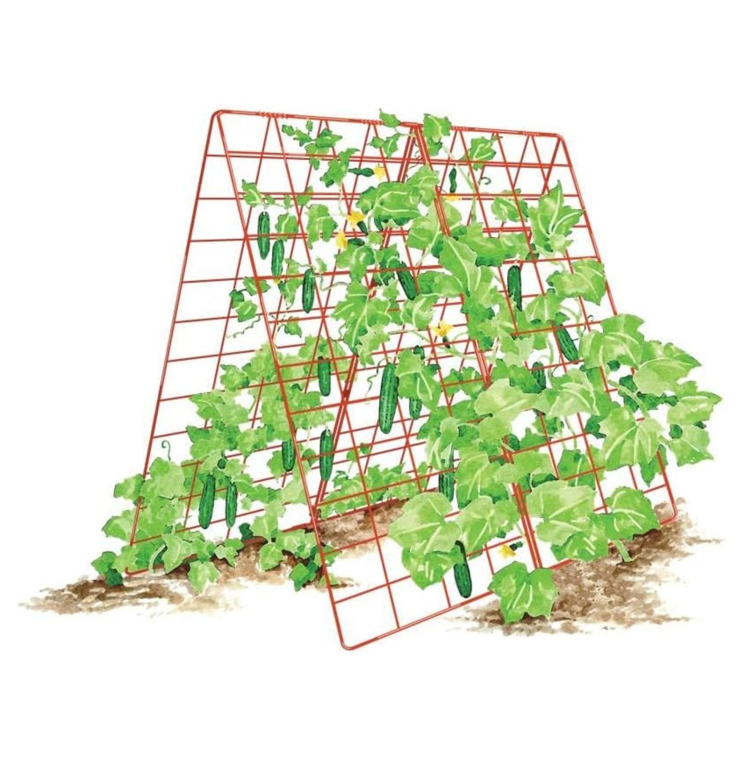 Gardeners Supply Company Deluxe Cucumber Trellis Easy to Install