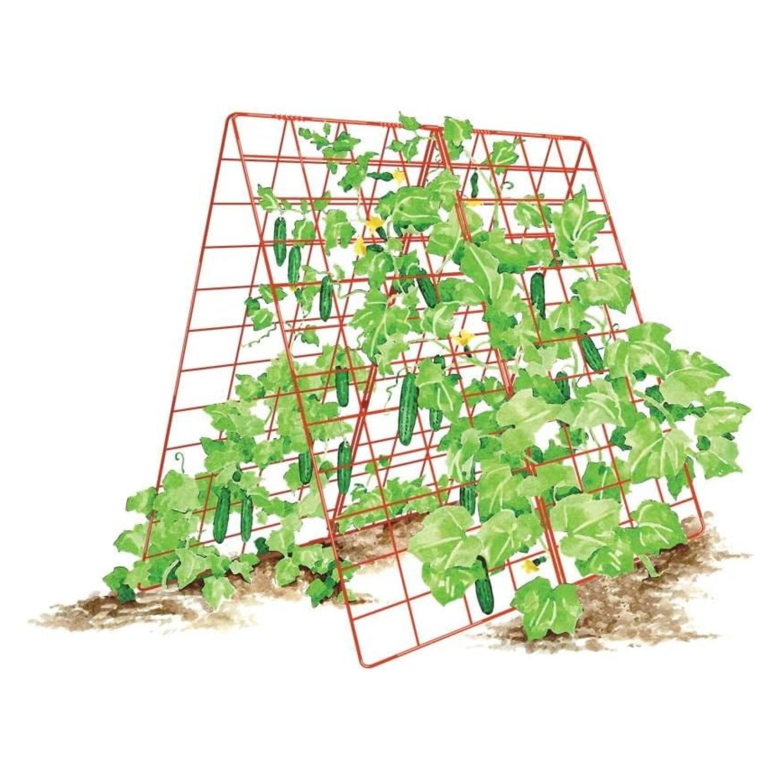 Gardeners Supply Company Deluxe Cucumber Trellis Easy to Install