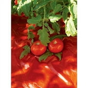 Gardeners Supply Company Red Tomato Mulch | Increases Tomato Harvest Up To 20%| Stimulates Tomato Plant Growth And Maximizes Harvest Quality | BPA-Free Plastic 24' L X 3' W 1 Mm Thick