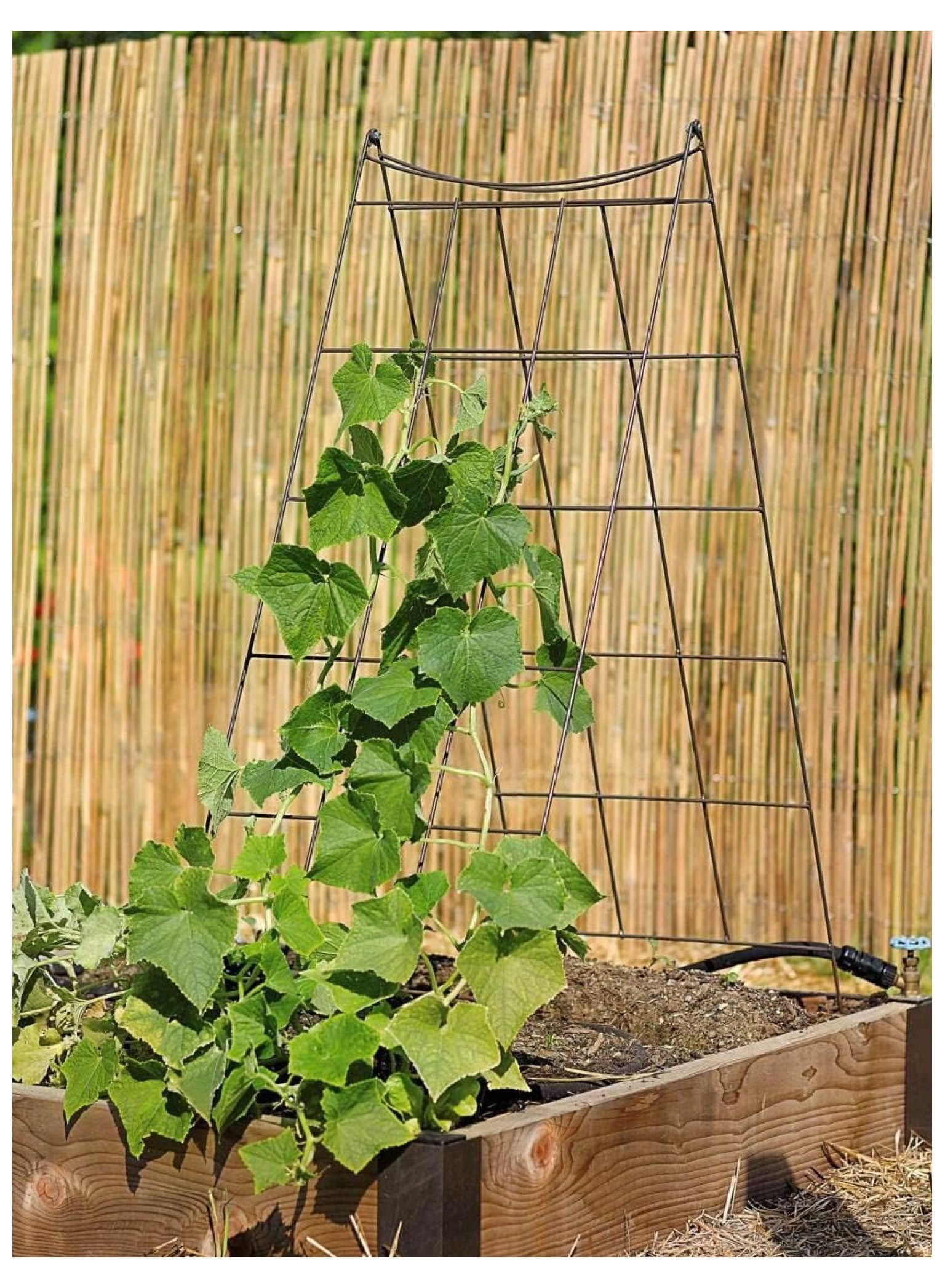 Gardeners Supply Company Wire AFrame Trellis Strong and Sturdy Metal