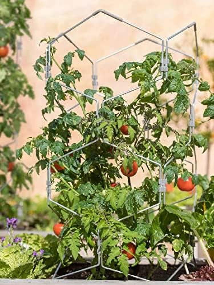 Gardeners Tomato Cage Plant Support Sturdy Aluminum Frame Rustproof