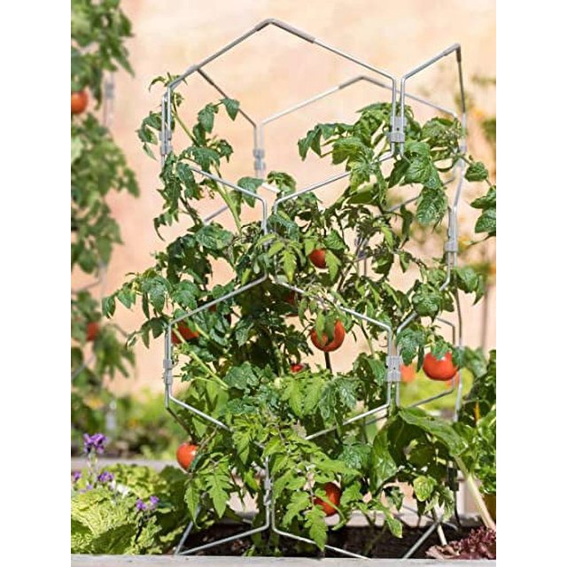 Gardeners Tomato Cage Plant Support Sturdy Aluminum Rustproof Tomato
