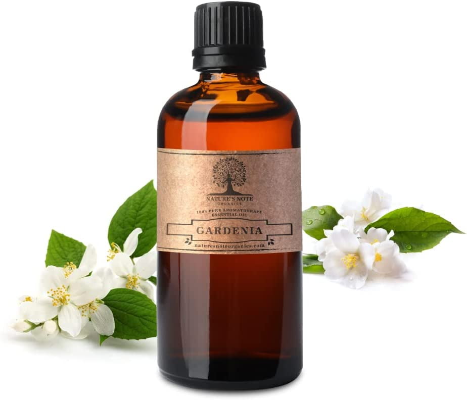 Night Blooming Jasmine Essential oil - 100% Pure Aromatherapy Grade  Essential oil by Nature's Note Organics - 0.3 Fl Oz 
