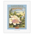 thumbnail image 1 of Gardenia - Aloha Seeds - Big Island Seed Company - Big Island Fragrance - Vintage Seed Packet by Kerne Erickson - Fine Art Rolled Canvas Print 11in x 14in, 1 of 4