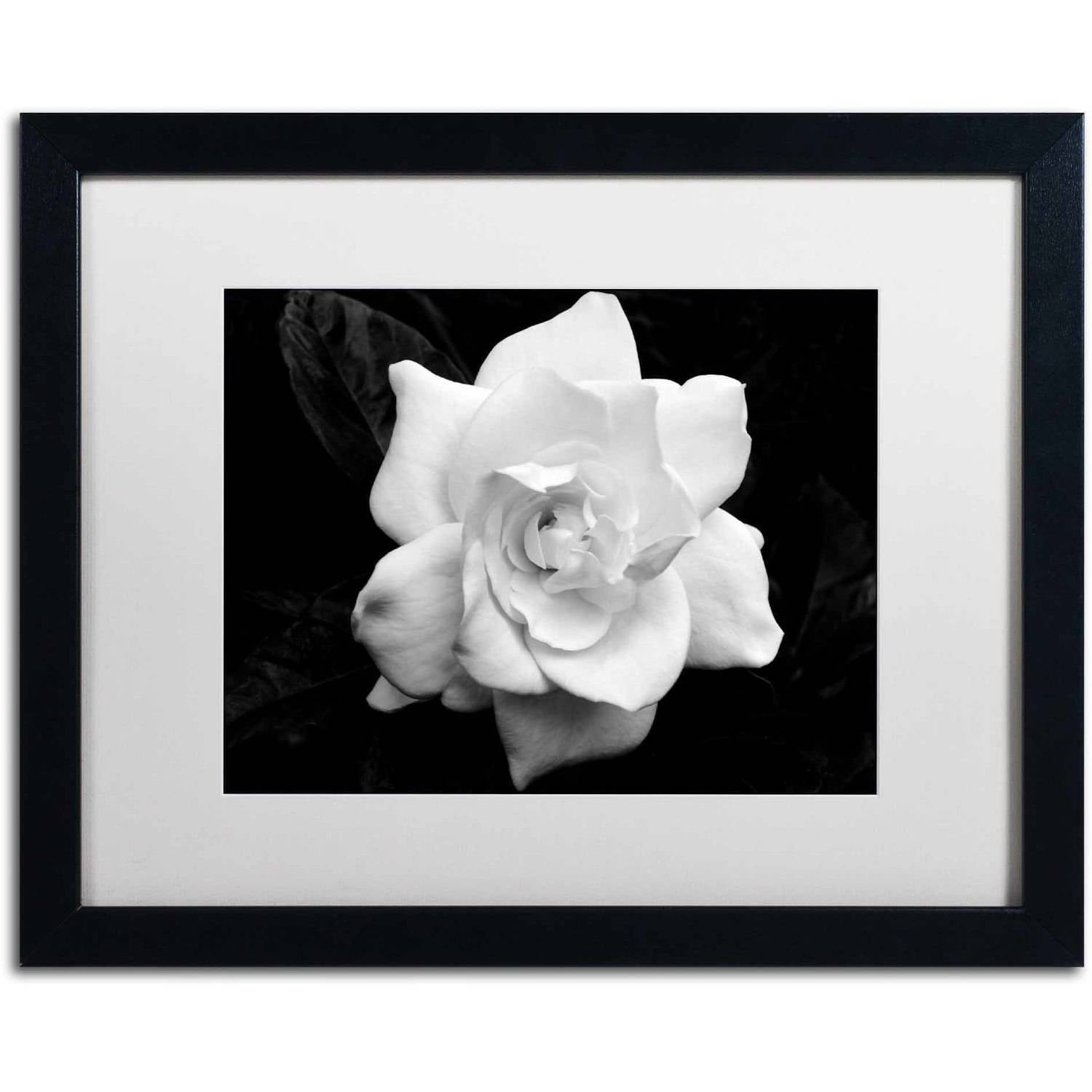 "Gardenia in Black and White" Canvas Art by Kurt Shaffer, White Matte, Black Frame
