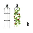 Gardening Climbing Vine Plant Climbing Vine Trellis for Climbing Plants
