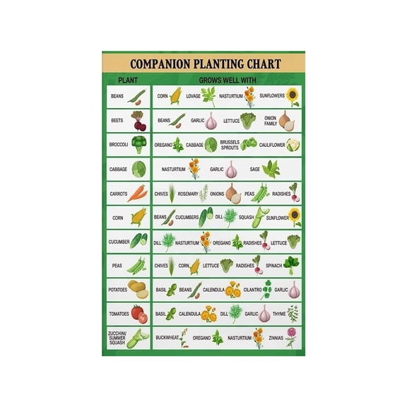 Gardening Companion Planting Chart Metal Sign Vegetable Herb Guide for Home Garden Kitchen Office Decor 8 X 12 in