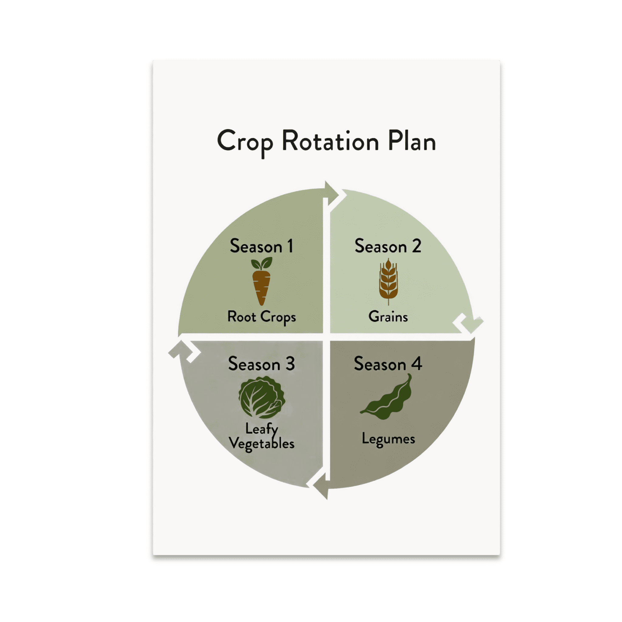 Gardening Crop Rotation Plan Wall Decor - Plant Enthusiast - 13x19 ...