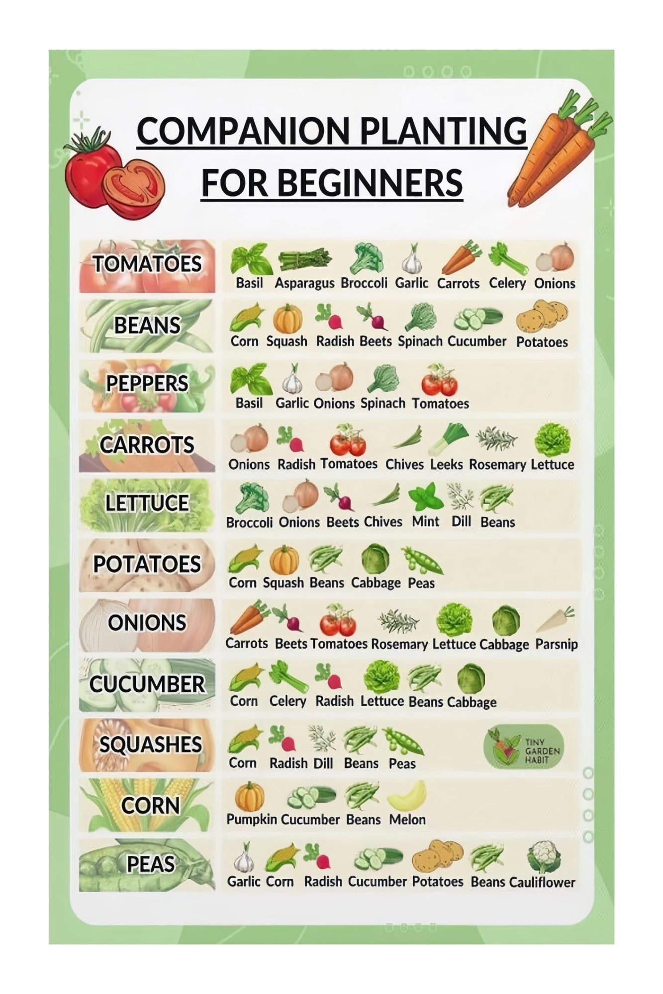 Gardening Enthusiasts Gift Companion Planting Cheat Sheet Easy ...