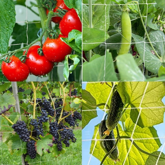 Gardening Lattice Mesh Climbing Netting Heavy Duty Polyester Square Plant Support Net Trellis Easy Cut Safe for Kids Animals Vertical Horizontal Garden Flower Vegetable Fruit