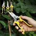 thumbnail image 1 of Gardening Scissors Set 3 Pack Stainless Steel Pruning Shears Multipurpose Branch Flower Cutter Ergonomic Comfort Grip for Garden Yard Home Plant Care Durable, 1 of 5