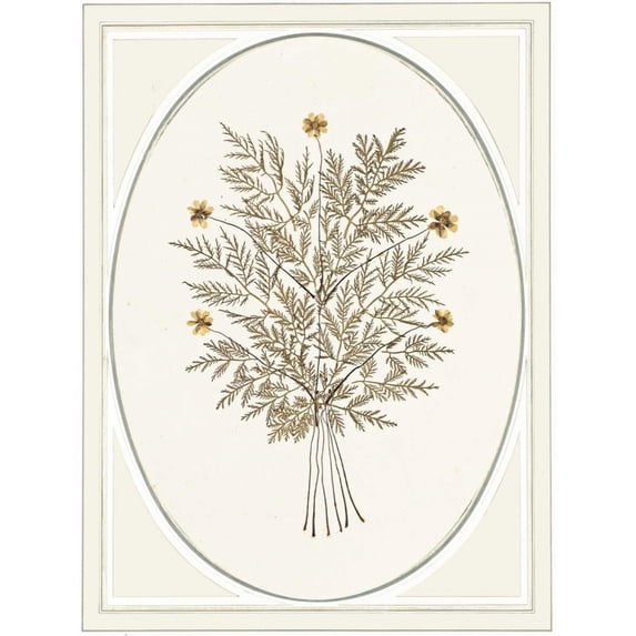 Gardenio IV Poster Print by Anne Waltz (18 x 24)