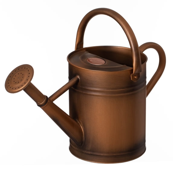 1-Gallon Steel Watering Can with Removable Sprinkler Head Ideal for Indoors & Outdoors, Bronze
