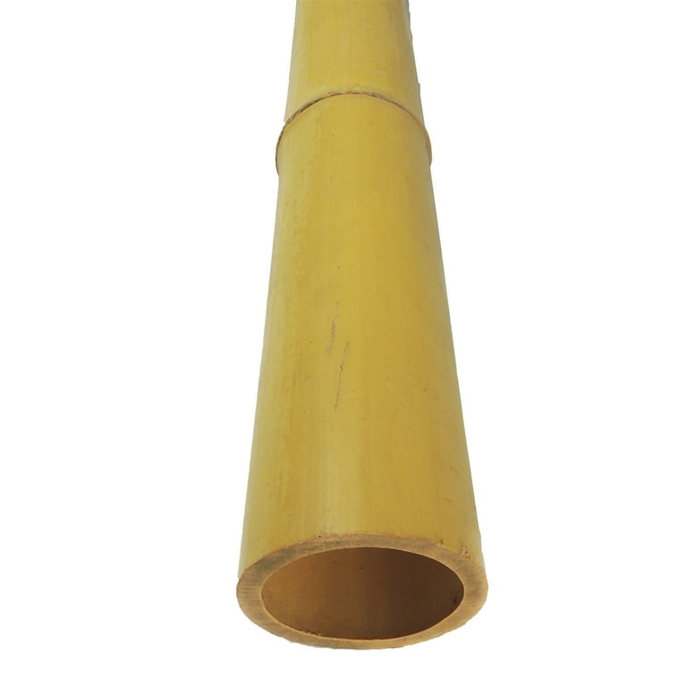 Thick Natural Bamboo Poles About 6 Feet Tall 1.5 Inch Diameter - Pack of 3  (Natural Yellow) - Walmart.com