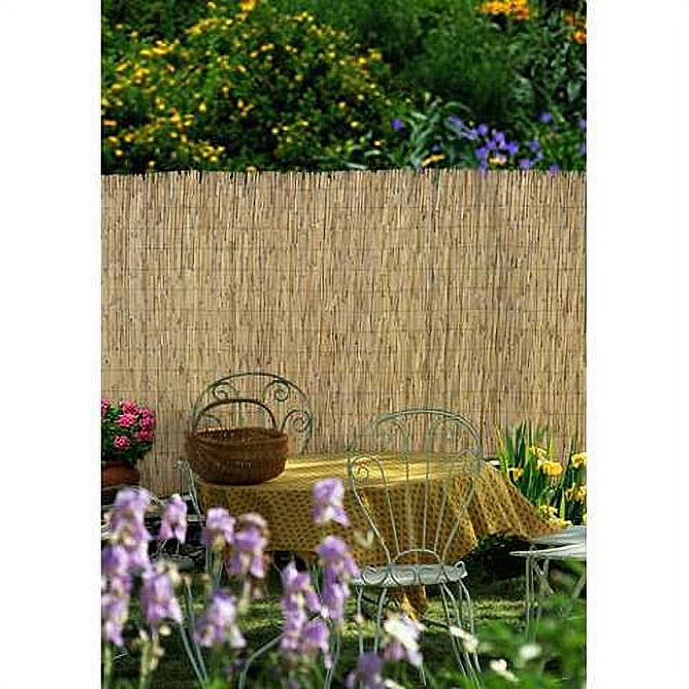 Natural Bamboo 48'' H x 96'' W Peeled and Polished Reed Fence