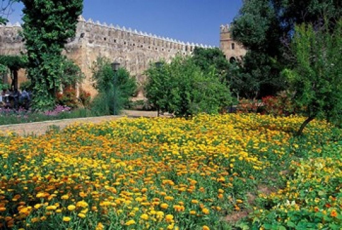 Gardens and Crenellated Walls of Kasbah des Oudaias Morocco Canvas Art - John & Lisa Merrill DanitaDelimont (35 x 24)