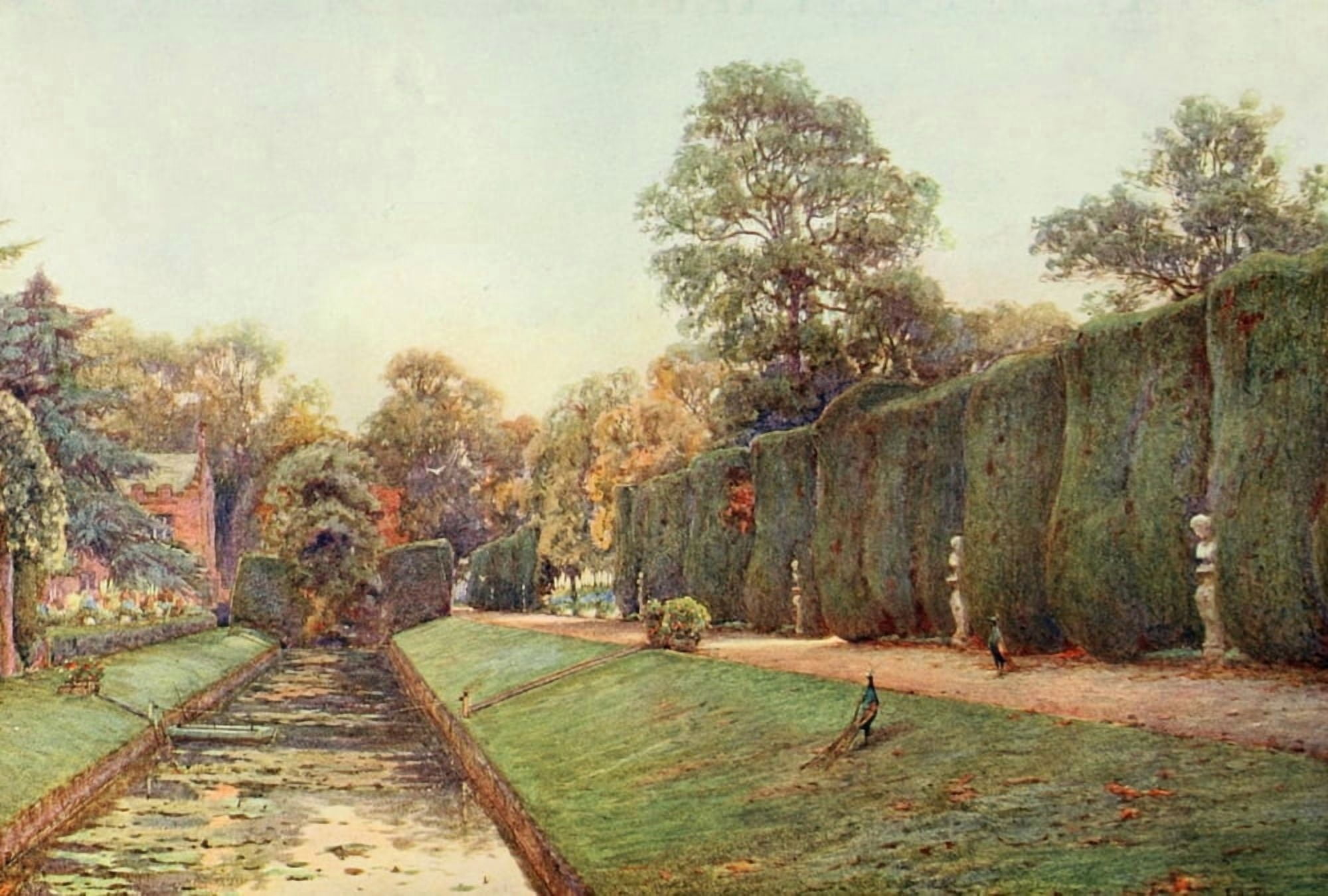 Gardens in Midland & Eastern Counties 1908 Great Hedge at Campsea Ashe Canvas Art - Ernest A Rowe (18 x 24)