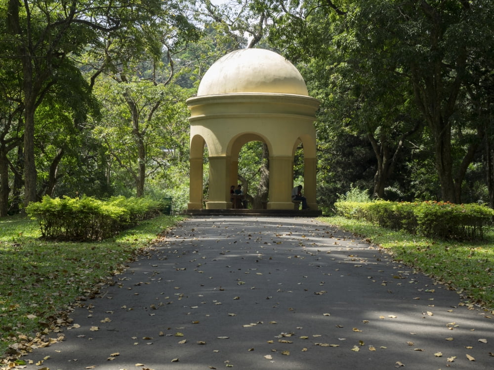 Gardiners Memorial Royal Botanical Gardens Peradeniya Kandy Central Province Sri Lanka Canvas Art - Panoramic Images (12 x 16)