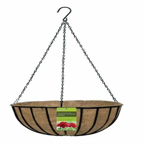 HANGING BASKT BLACK 12""D(Pack of 1)