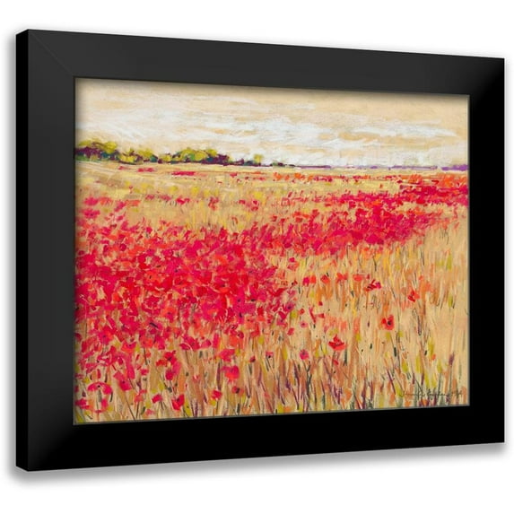 Gardner, Jennifer 18x15 Black Modern Framed Museum Art Print Titled - Poppies Evening Light I