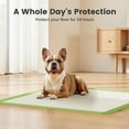 thumbnail image 1 of Nomipaw Dog Pee Pads Regular 22"x22", Thicker ECO Green Small Disposable Puppy Training Pads Super Absorbent Full Edge-Wrapping Pad for Dogs, Puppies, Doggies, Cats-(20 Count), 1 of 5