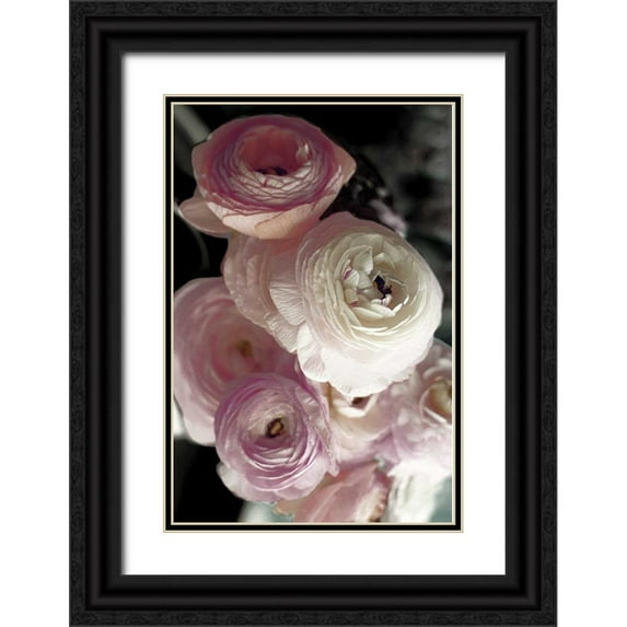Gardner, Sarah 11x14 Black Ornate Wood Framed with Double Matting Museum Art Print Titled - Out of Darkness