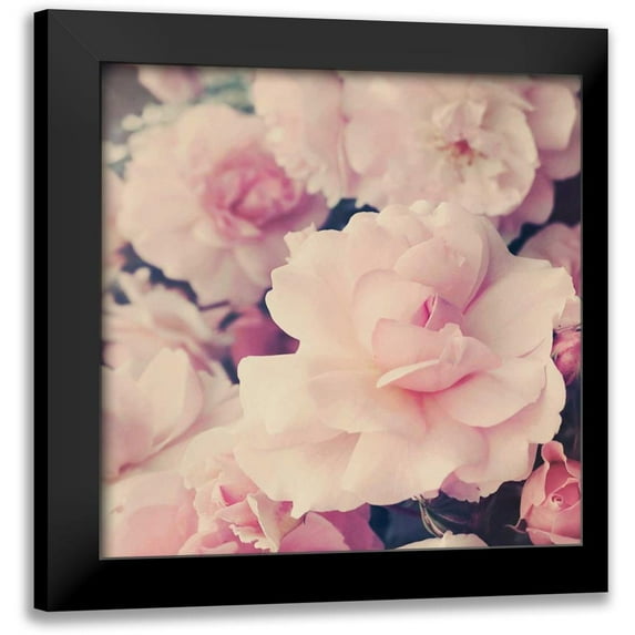 Gardner, Sarah 12x12 Black Modern Framed Museum Art Print Titled - Pink Blossoms I