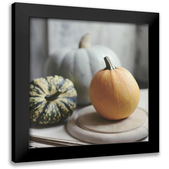 Gardner, Sarah 12x12 Black Modern Framed Museum Art Print Titled - Time For Fall