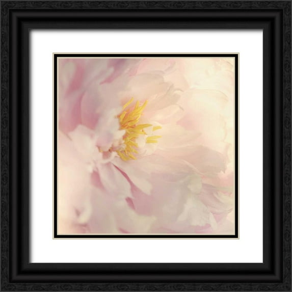 Gardner, Sarah 12x12 Black Ornate Wood Framed with Double Matting Museum Art Print Titled - Bloom