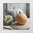thumbnail image 1 of Gardner, Sarah 12x12 White Modern Wood Framed Museum Art Print Titled - Time For Fall, 1 of 4