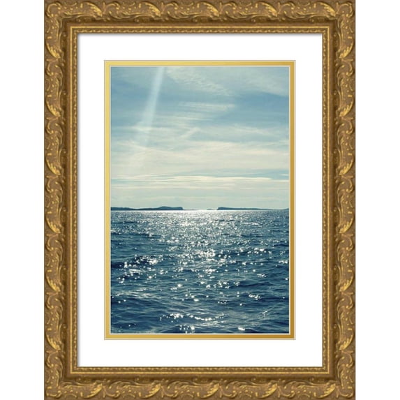 Gardner, Sarah 13x18 Gold Ornate Wood Framed with Double Matting Museum Art Print Titled - North Eastern Coastal I